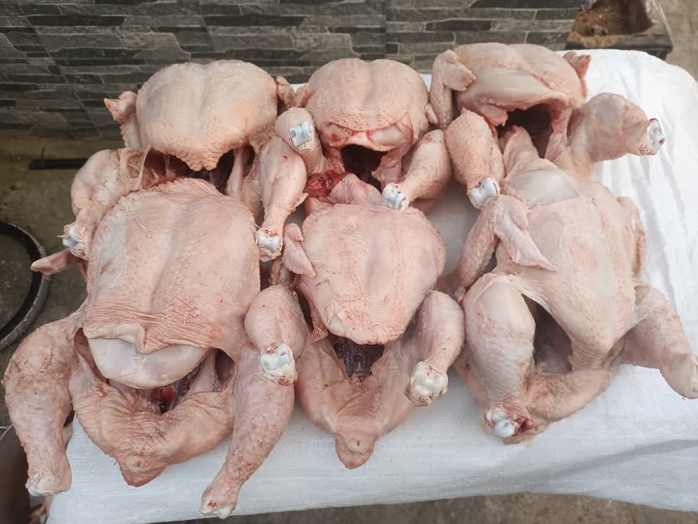 Chicken